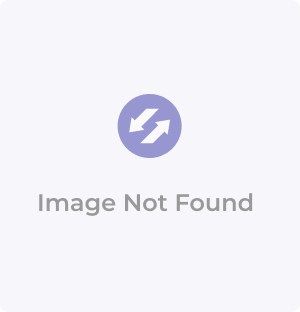 POWER ELECTRONICS R10046HD - image not available